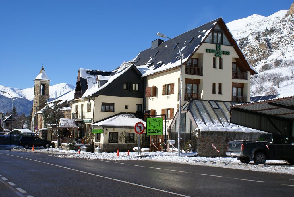 Hotel Edelweiss Arties Extérieur photo
